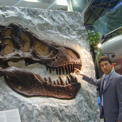 Il Fossile di Dinosauro lastra in pietra
