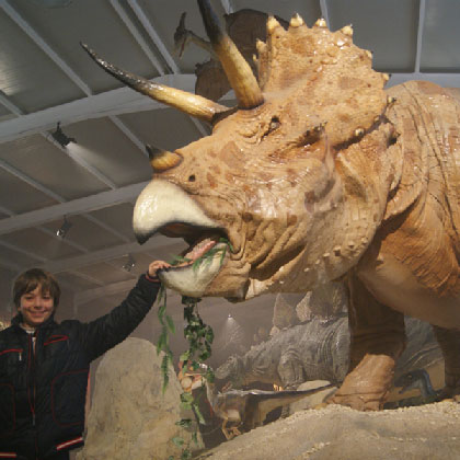 Esposizione Mostra dei Dinosauri della famiglia dei Ceratopidi Il Marginocefaliani
