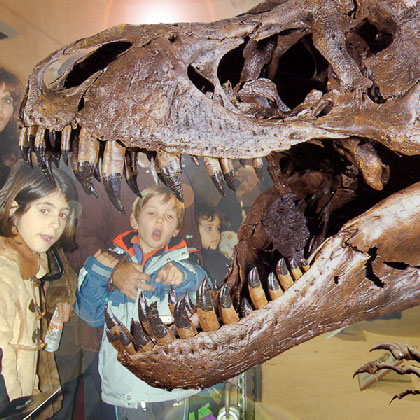 Esposizione di Riproduzioni degli Scheletri di Dinosauri particolare di T. Rex