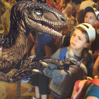 Dinosauri in Esposizione il Velociraptor predatore amato dai bambini