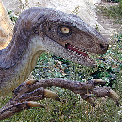 Esposizione Dinosauri e Diorama il Velociraptor mostrato nel suo abitat naturale